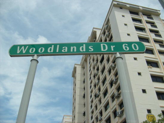 Woodlands Drive 60 #90892